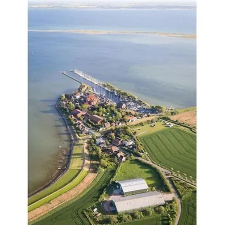 Heynes 1 * Orth