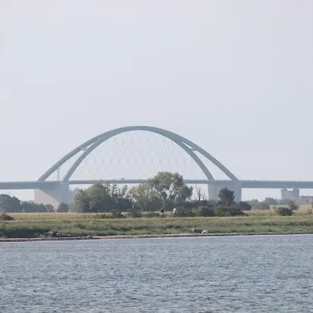 Heynes 1 Orth