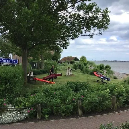 Heynes 1 Orth